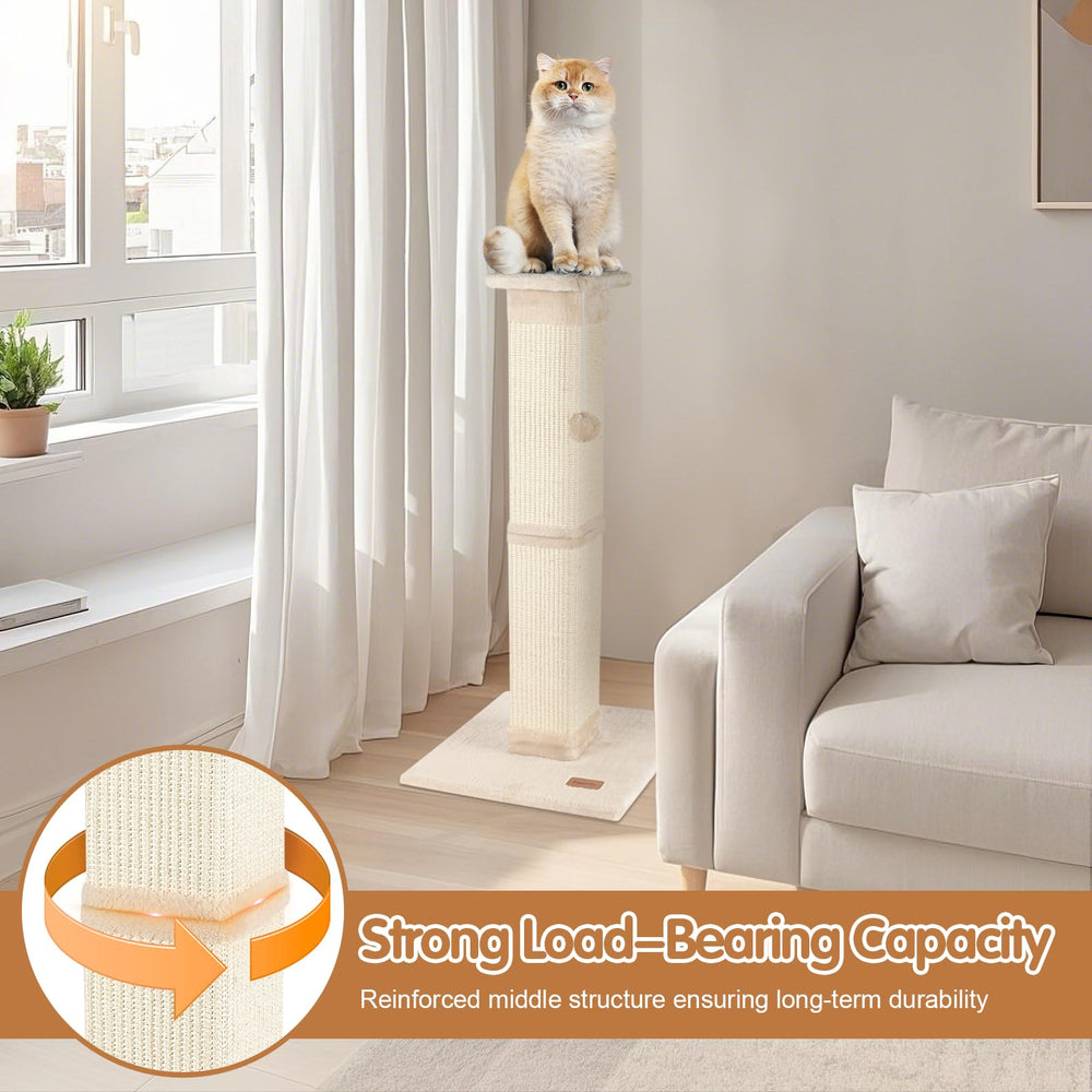 Fopetfy reinforced middle structure for enhanced durability.
