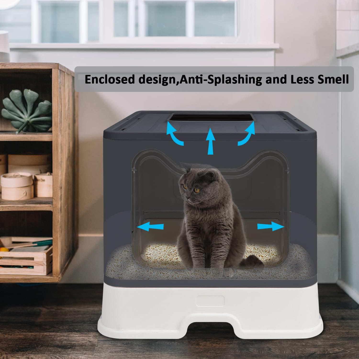 Fophop durable PS and PP materials ensure pet-safe construction and longevity.
