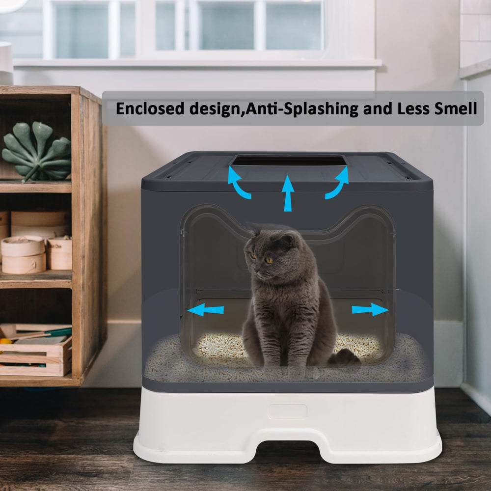 Fophop durable PS and PP materials ensure pet-safe construction and longevity.
