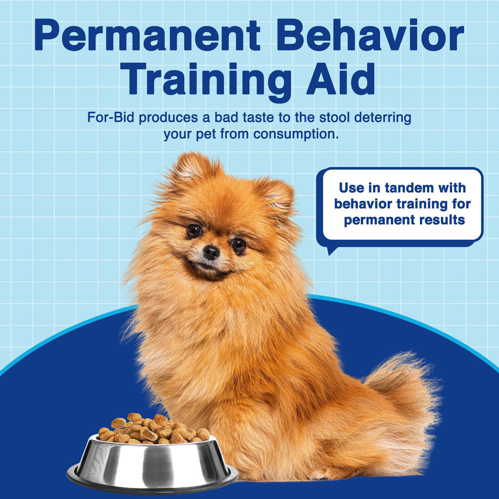 For-Bid dog-eating-stool behavior illustration, deterrent used.