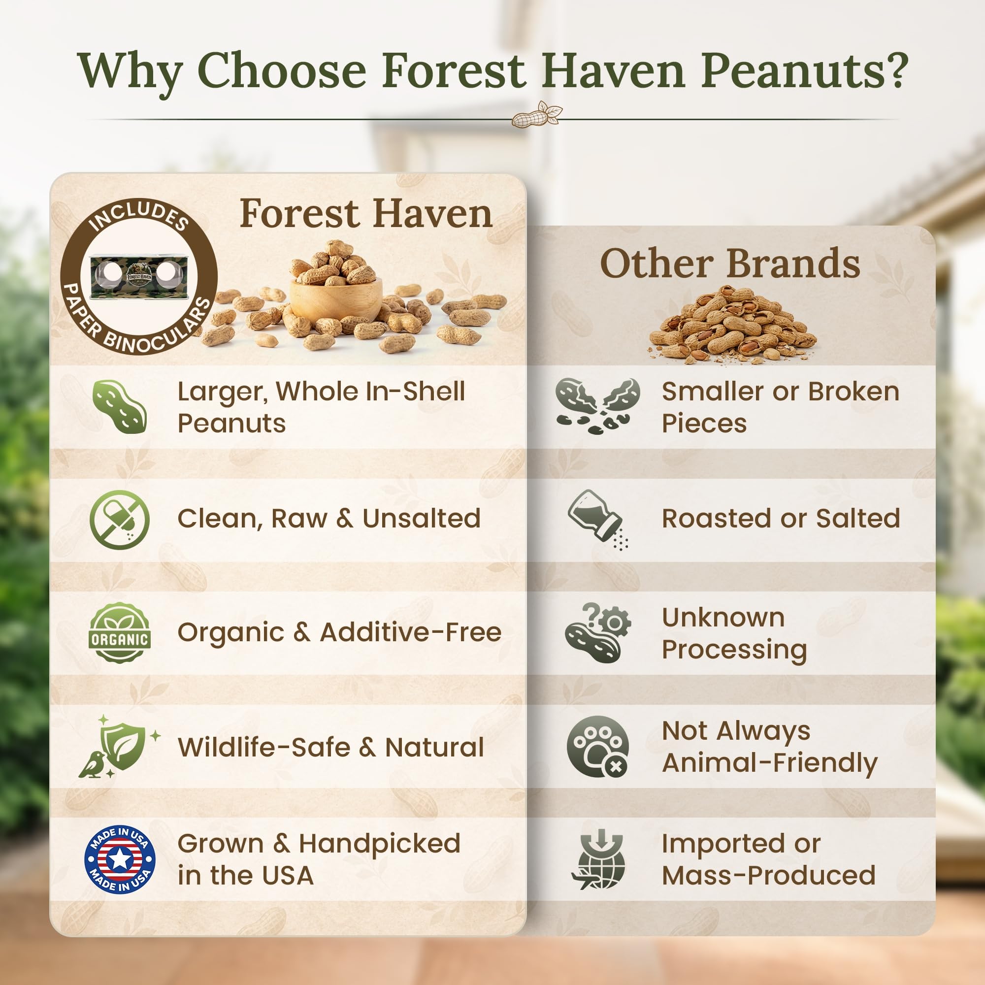 Forest Haven peanut bird feeder pairing attracts blue jays and woodpeckers.