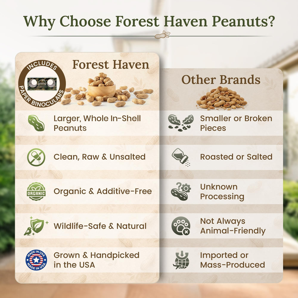 Forest Haven peanut bird feeder pairing attracts blue jays and woodpeckers.
