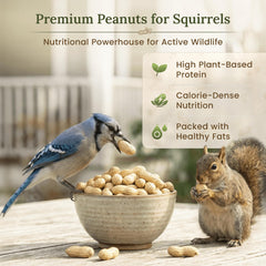 Forest Haven squirrel feeder peanuts support natural foraging behavior.