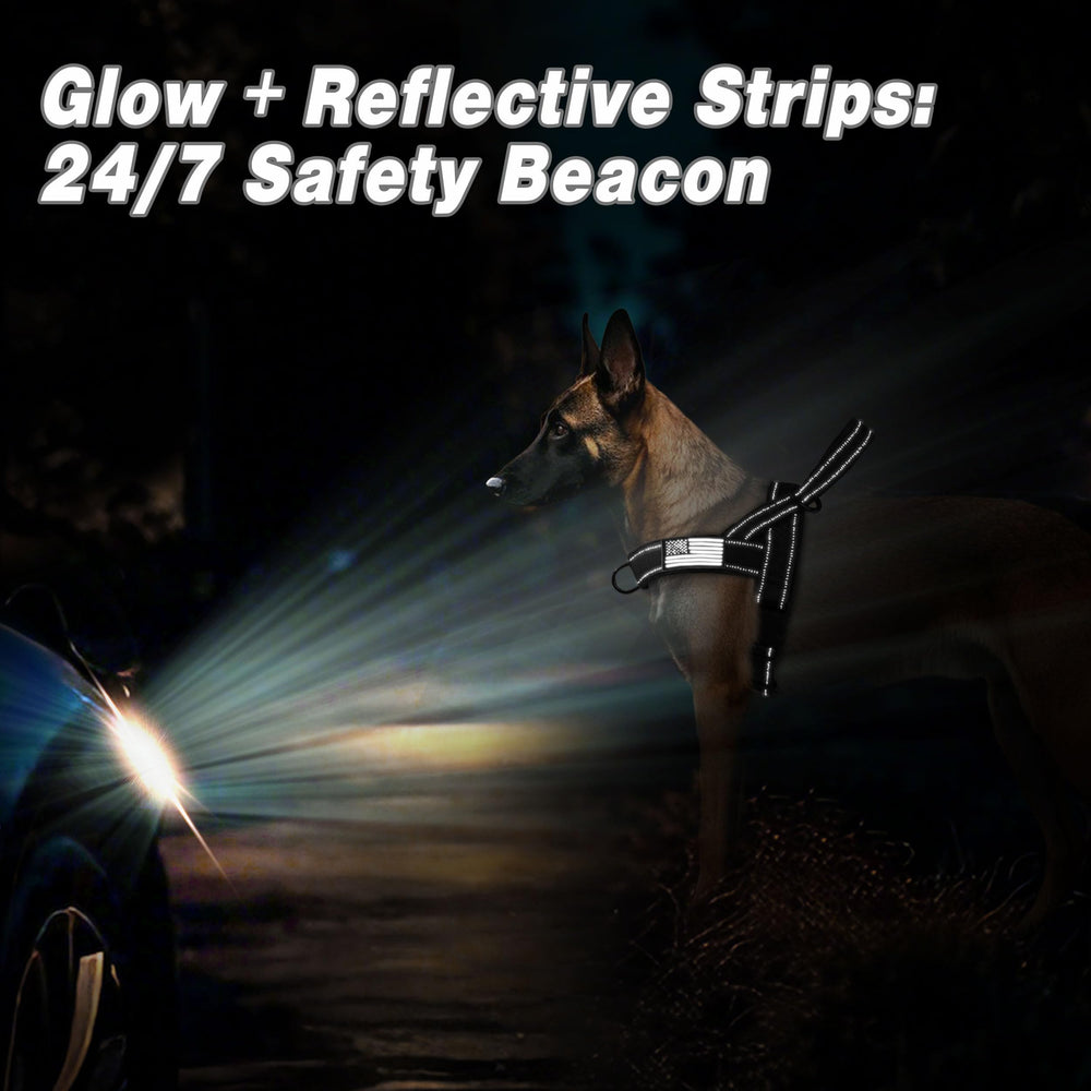 Forestpaw 1000D nylon outer shell highlighted for durability and resilience.