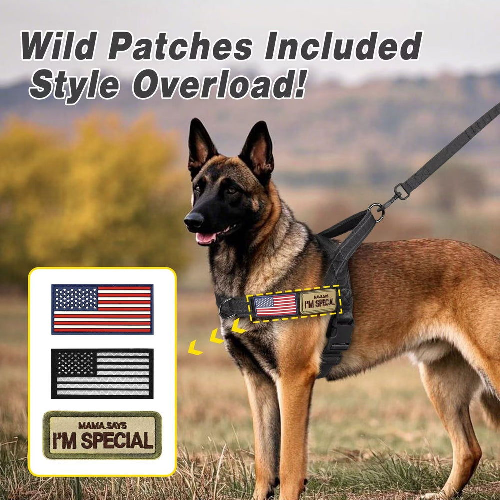 Forestpaw 1000D nylon exterior demonstrates durability and resist wear.