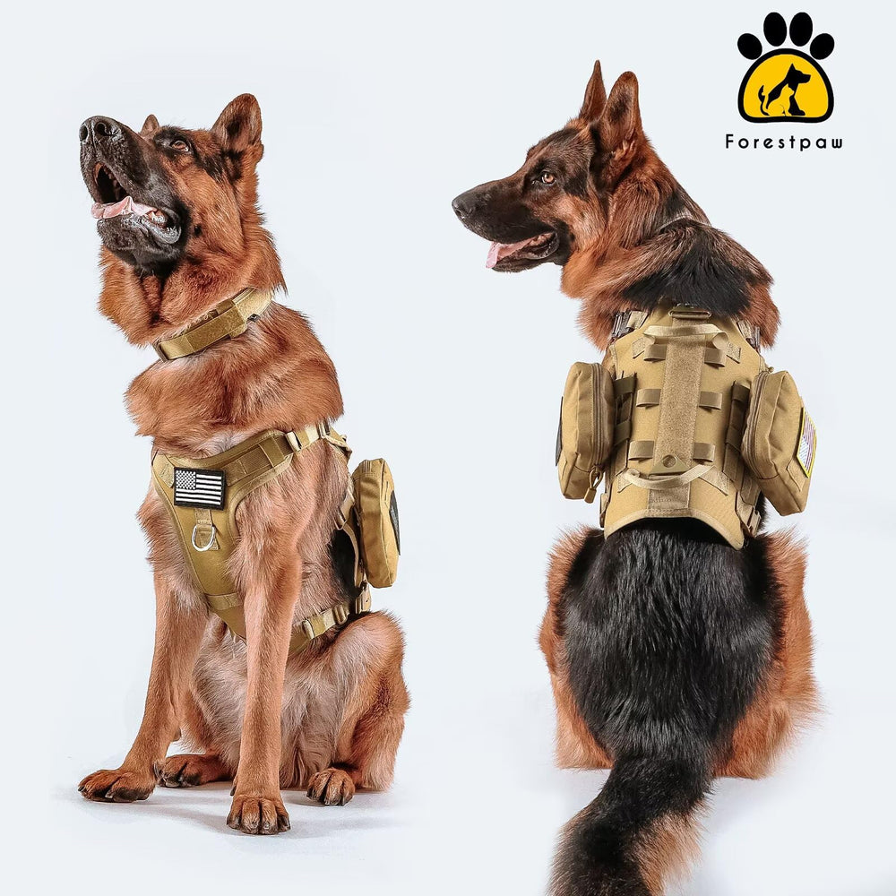 Forestpaw adjustable chest guide helps accurate sizing for medium to XL dogs.