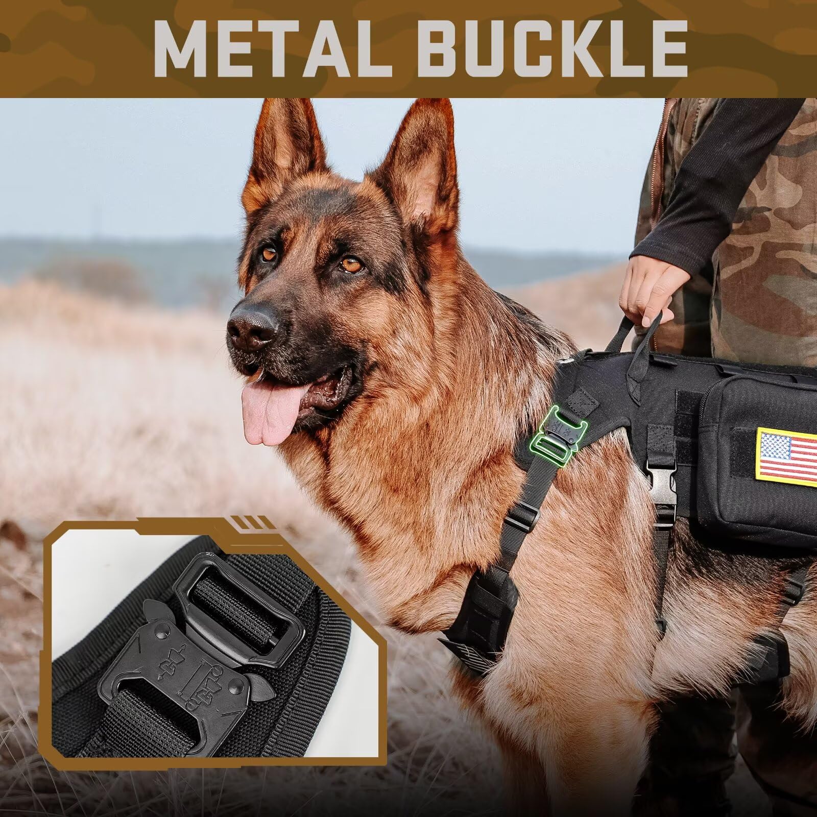 Forestpaw bungee leash with ergonomic handles absorbs shocks during runs.