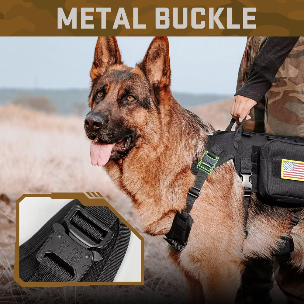 Forestpaw bungee leash with ergonomic handles absorbs shocks during runs.