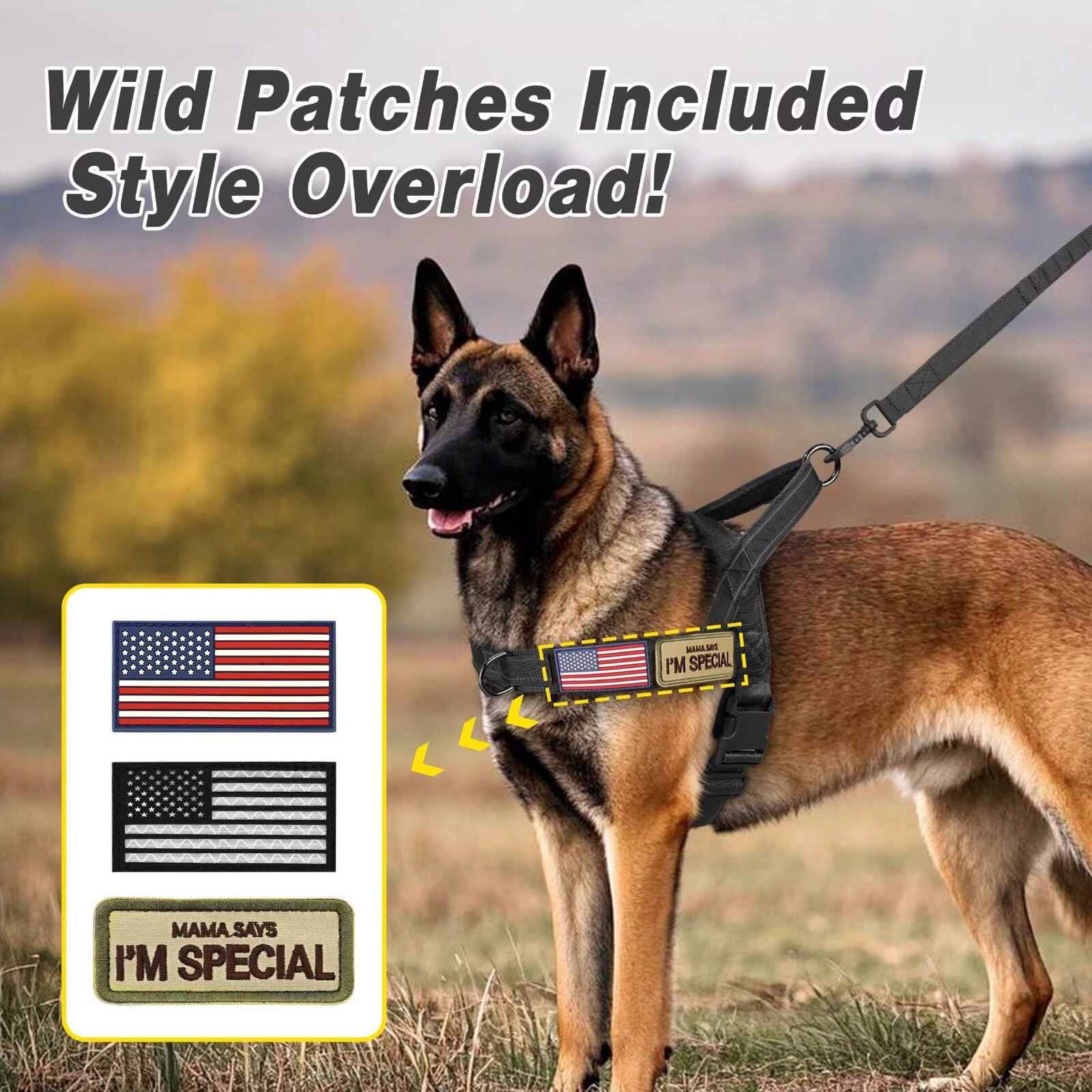 Forestpaw chest girth sizing guide to find the right fit