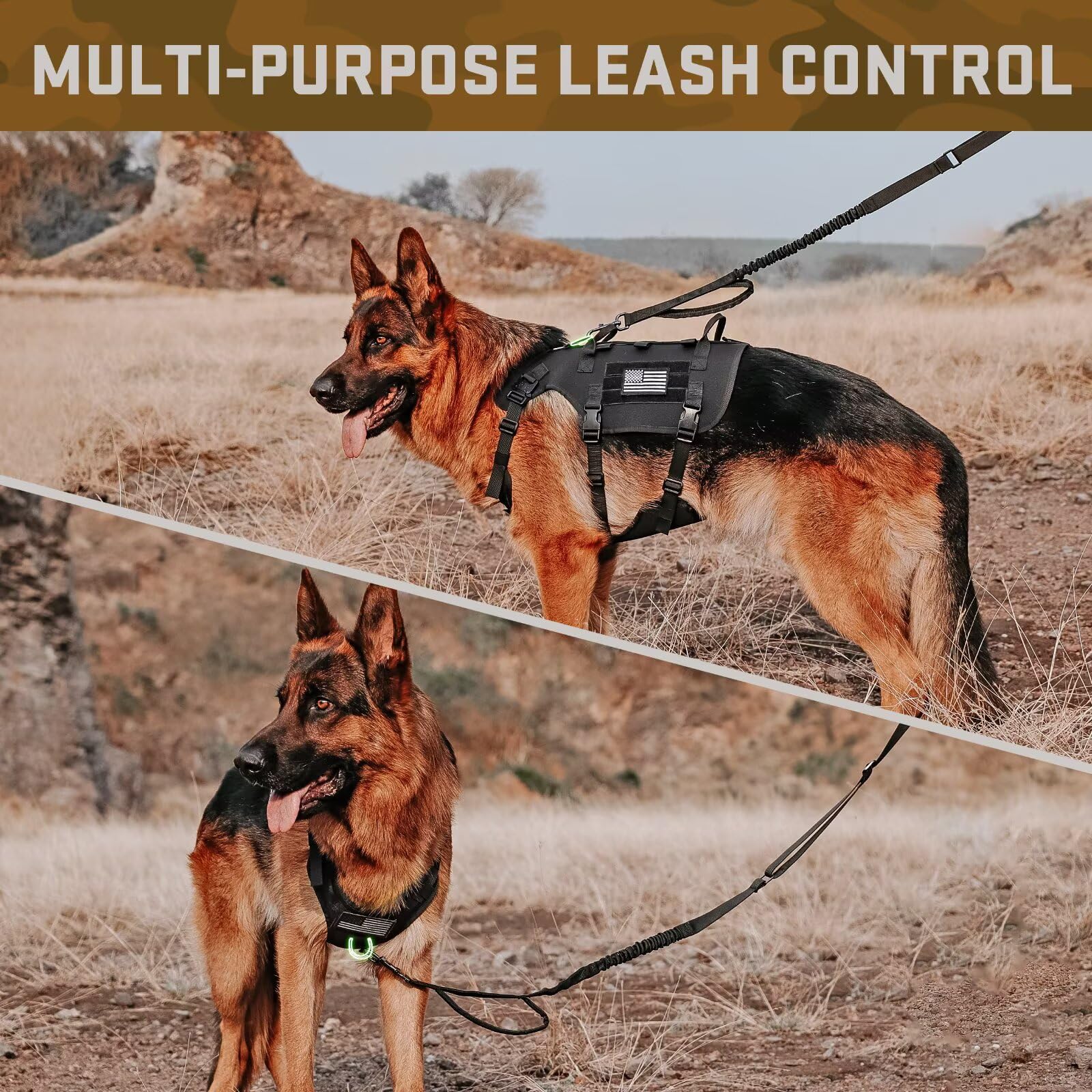 Forestpaw harness with reflective patches for nighttime safety.