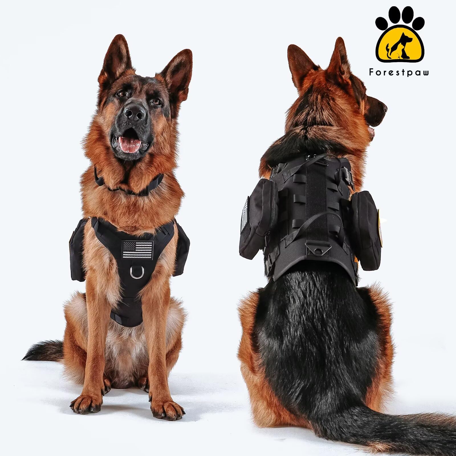 Forestpaw harness side MOLLE points ready for accessories.