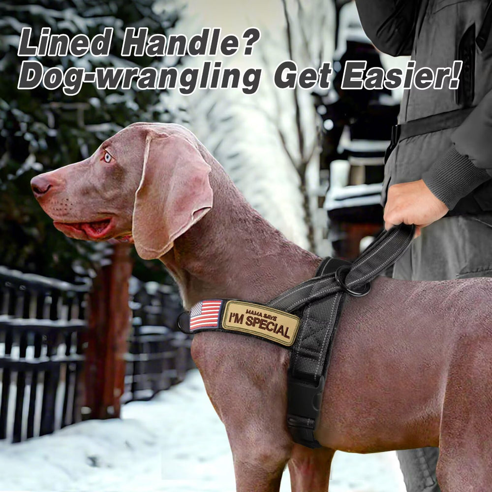 Forestpaw flannel-lined harness for all-day comfort on long outings