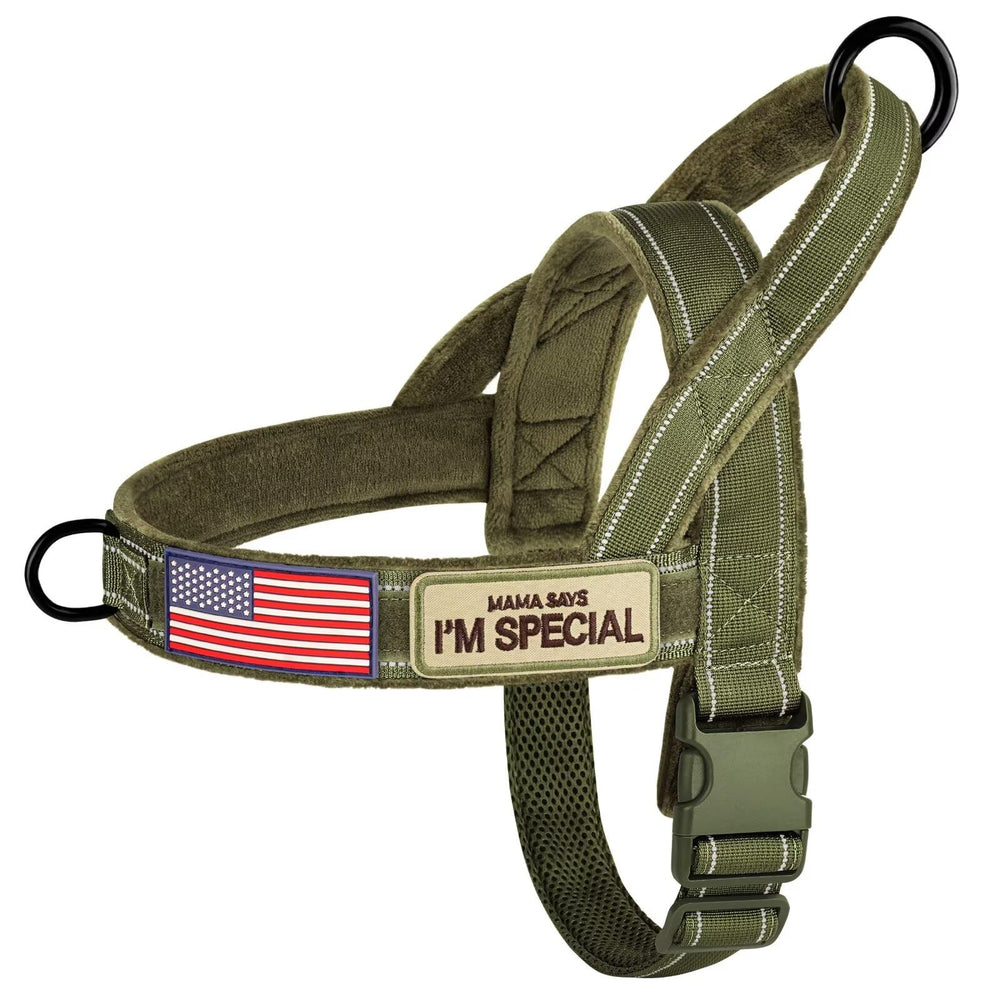 Forestpaw No Pull Harness with Large Handle for controlled walks.