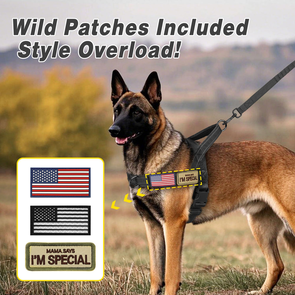 Close-up of Forestpaw plush lining for comfortable, chafe-free wear.