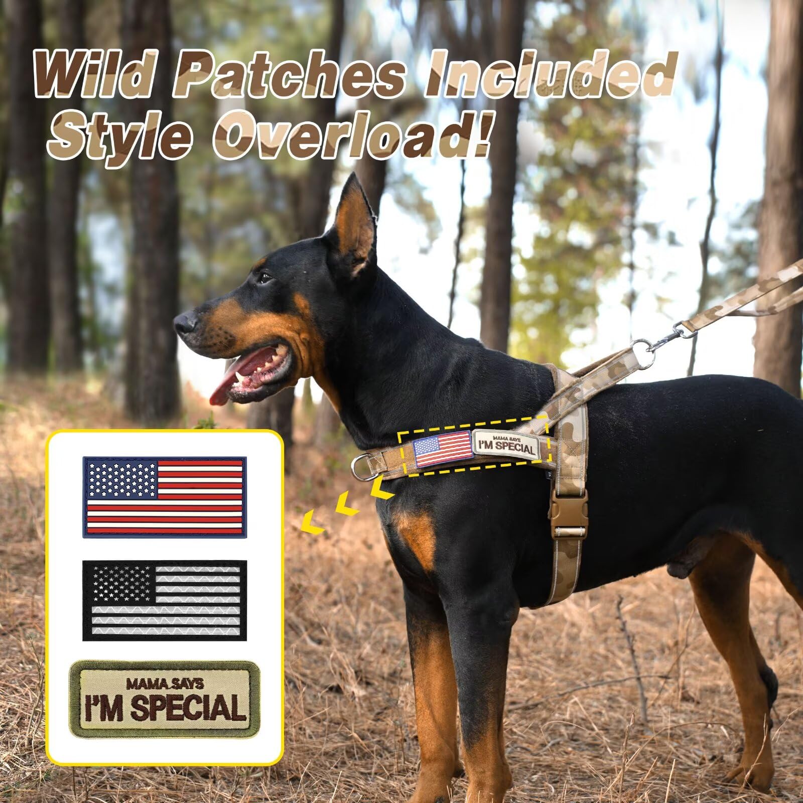 Forestpaw POM buckle and alloy D-ring secure leash attachment.