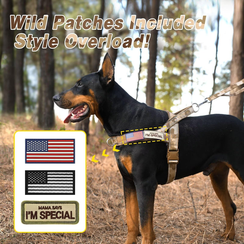 Forestpaw POM buckle and alloy D-ring secure leash attachment.