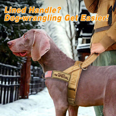 Forestpaw quick-release buckle harness enables fast, secure on/off transitions.