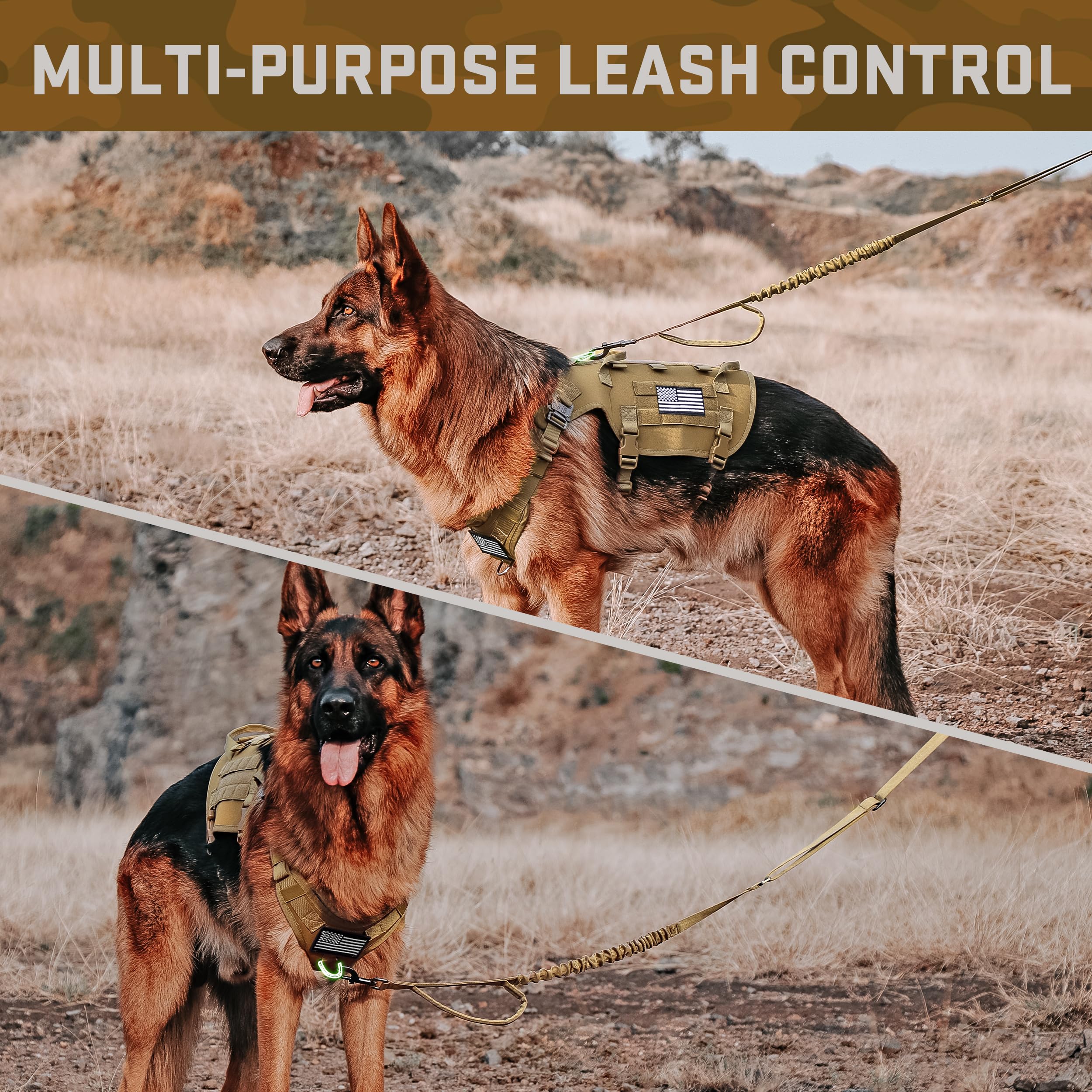 Forestpaw reflective patches improve visibility in low light conditions.