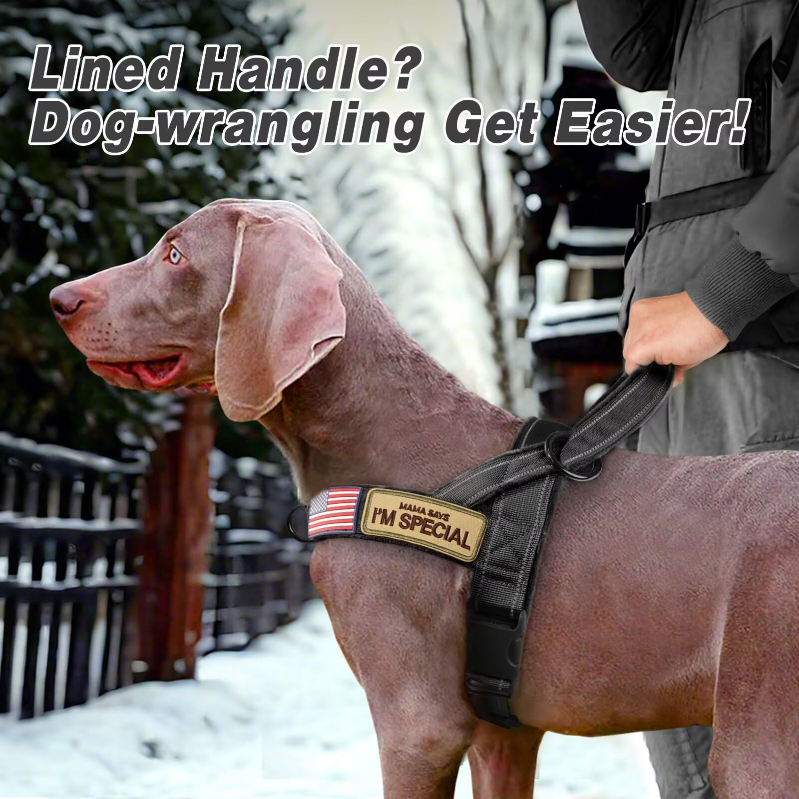 Forestpaw harness with reflective strip and patches for nighttime visibility.
