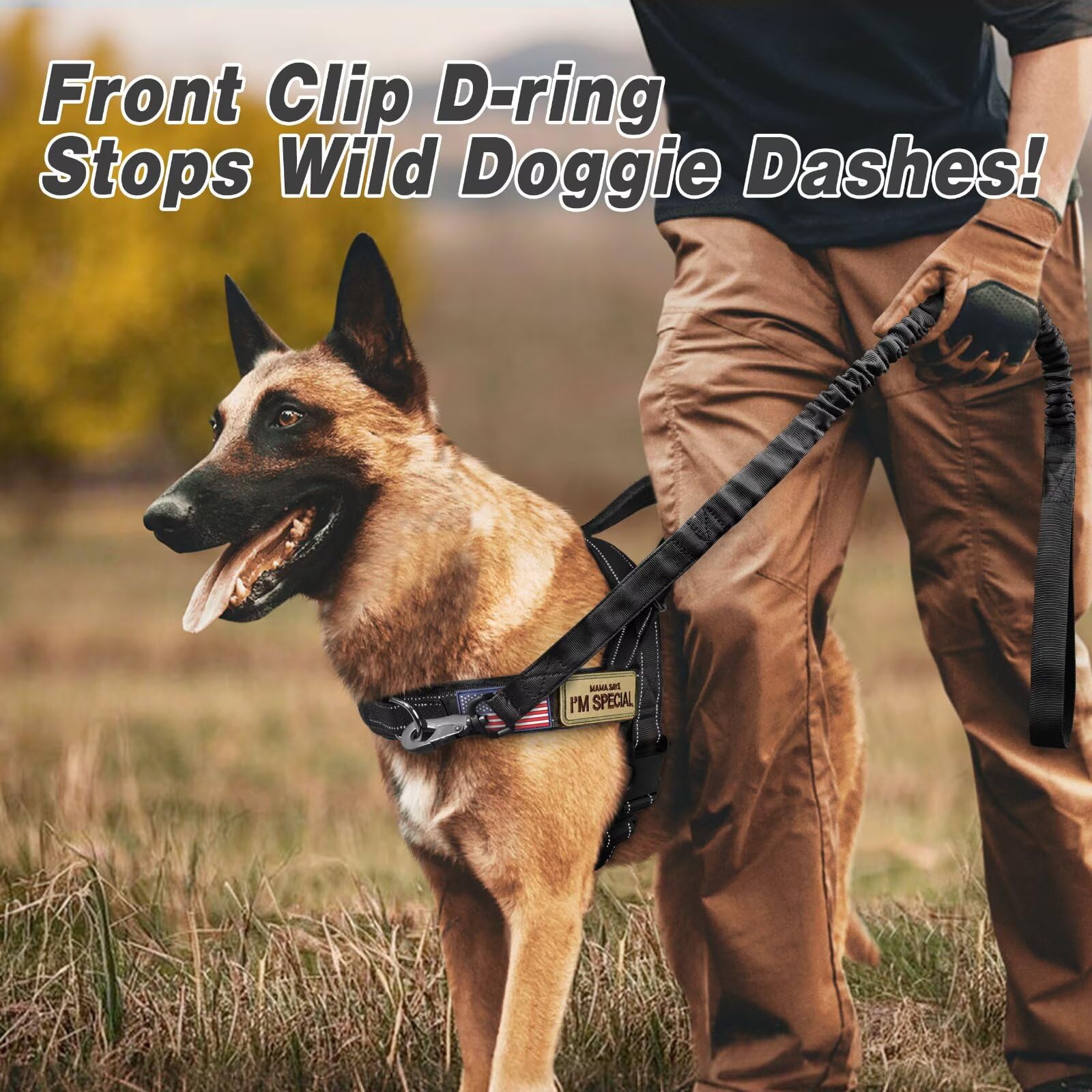Forestpaw slip-on entry harness close-up showing quick on-off design.