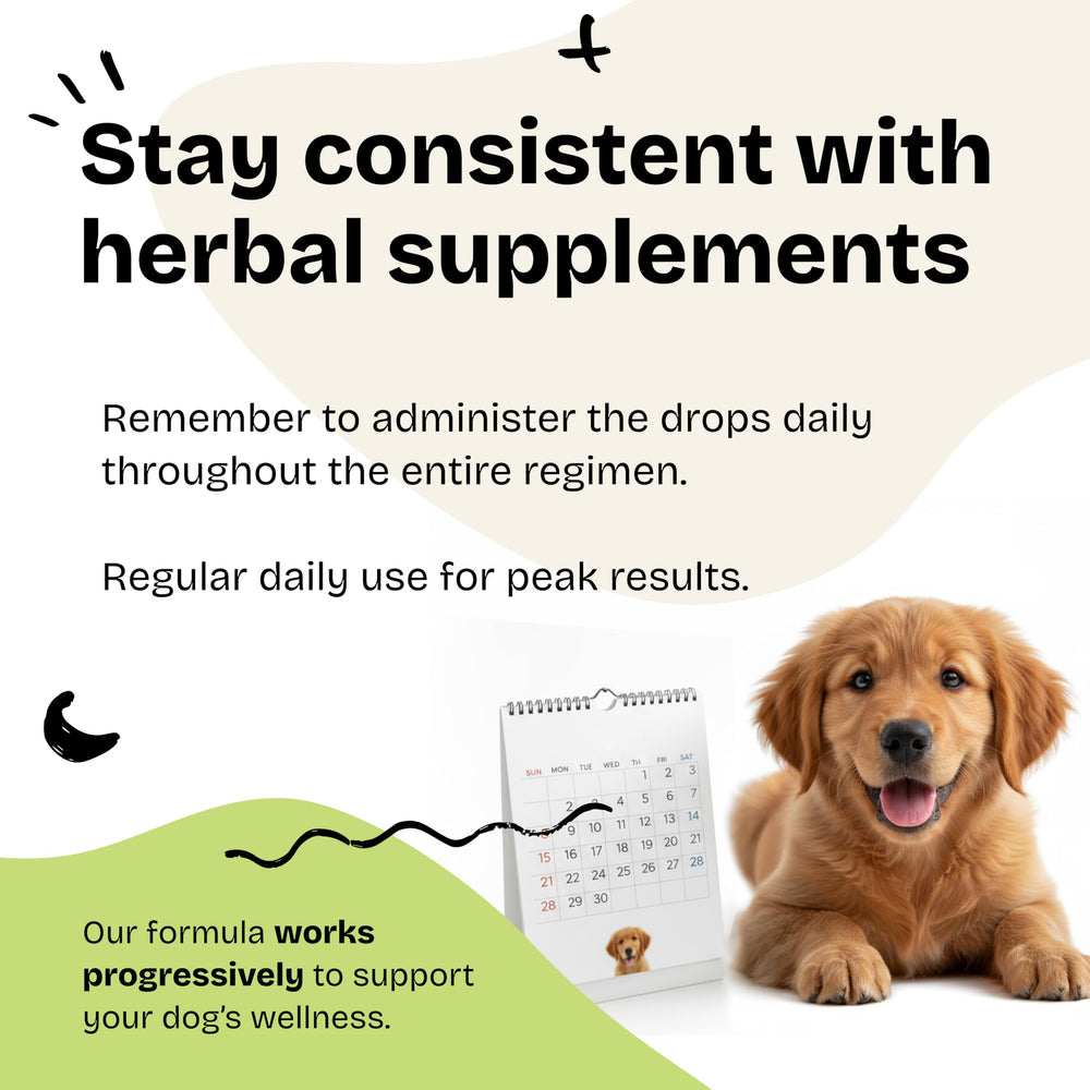 Forever Puppy clean-label bottle highlights sugar-free and alcohol-free formula.
