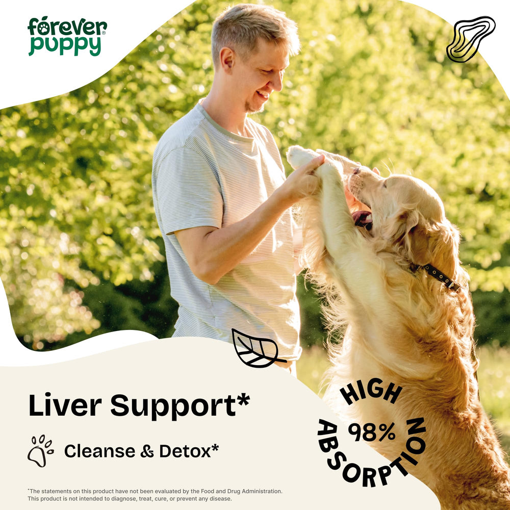 Forever Puppy Dandelion Root Drops packaging on display for liver detox benefits