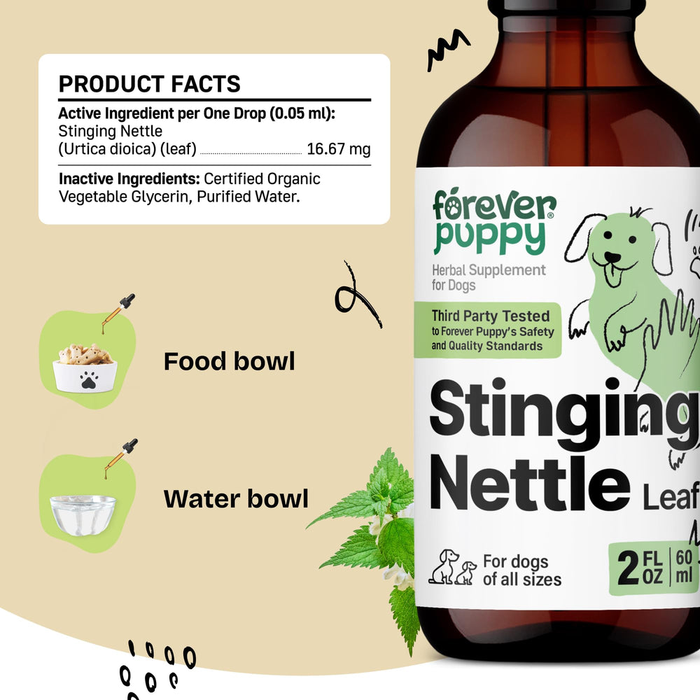 Forever Puppy dog enjoying meals as drops are easily mixed into water.