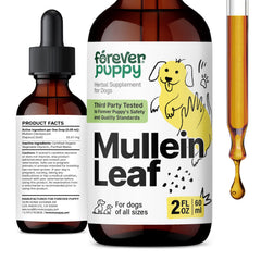 Forever Puppy Mullein tincture bottle pour supports easy breathing during daily activities