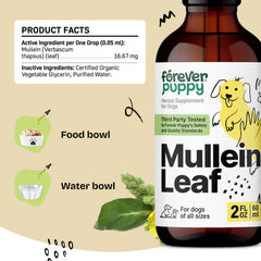 Forever Puppy Mullein tincture bottle with label aids trust and proper use