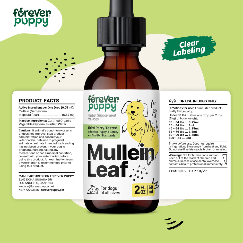 Forever Puppy Mullein tincture packaging highlights a clean, sugar free formula