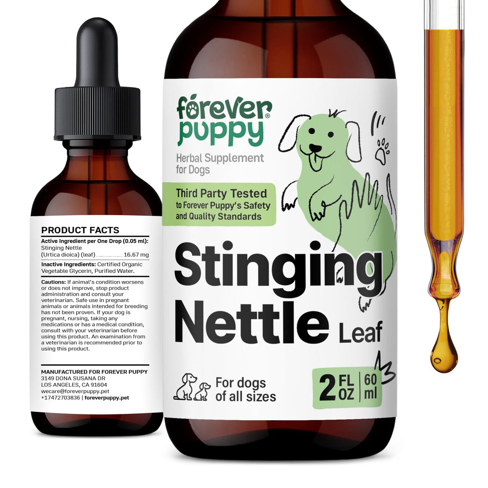 Forever Puppy stinging nettle leaf drops bottle close-up showing a clean formula.