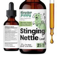 Forever Puppy stinging nettle leaf drops bottle close-up showing a clean formula.