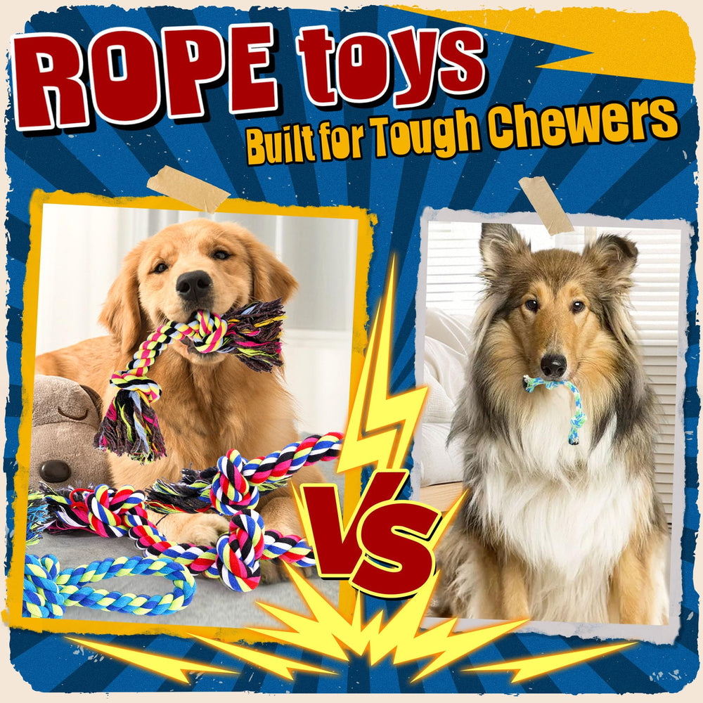 Forfon interactive tug session illustrating bonding during rope toy play.