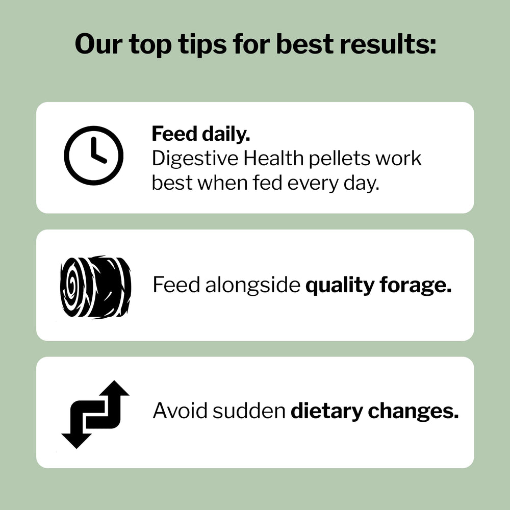 Formula 707 Digestive Health pellets being dispensed to feed, convenient feeding option.