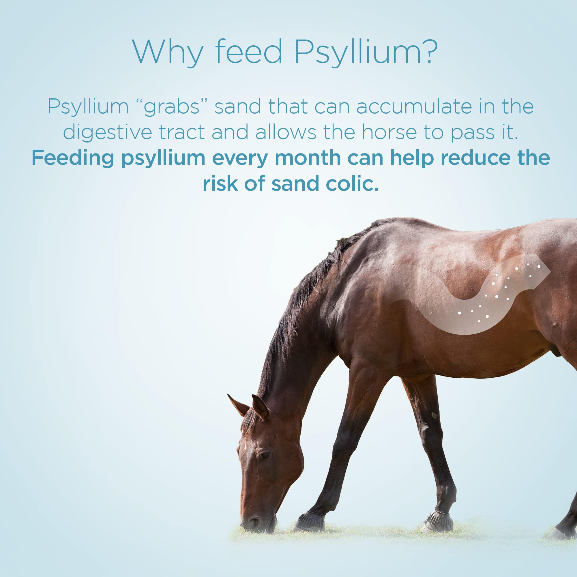 Formula 707 Psyllium Pellets close-up highlighting a palatable pelleted form.