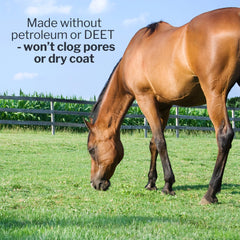 Formula 707 Fly Deny Spray after riding helps keep pests away