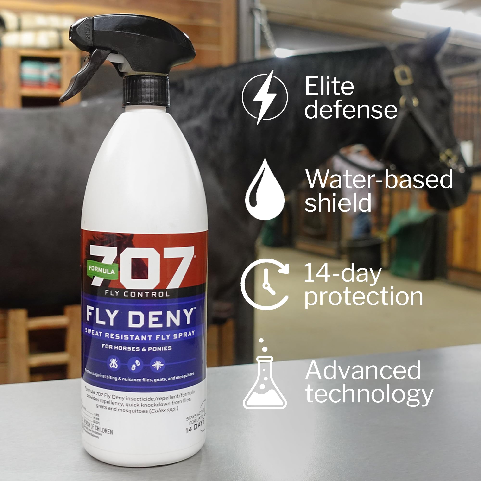Formula 707 Fly Deny Spray applied on a horse during grooming