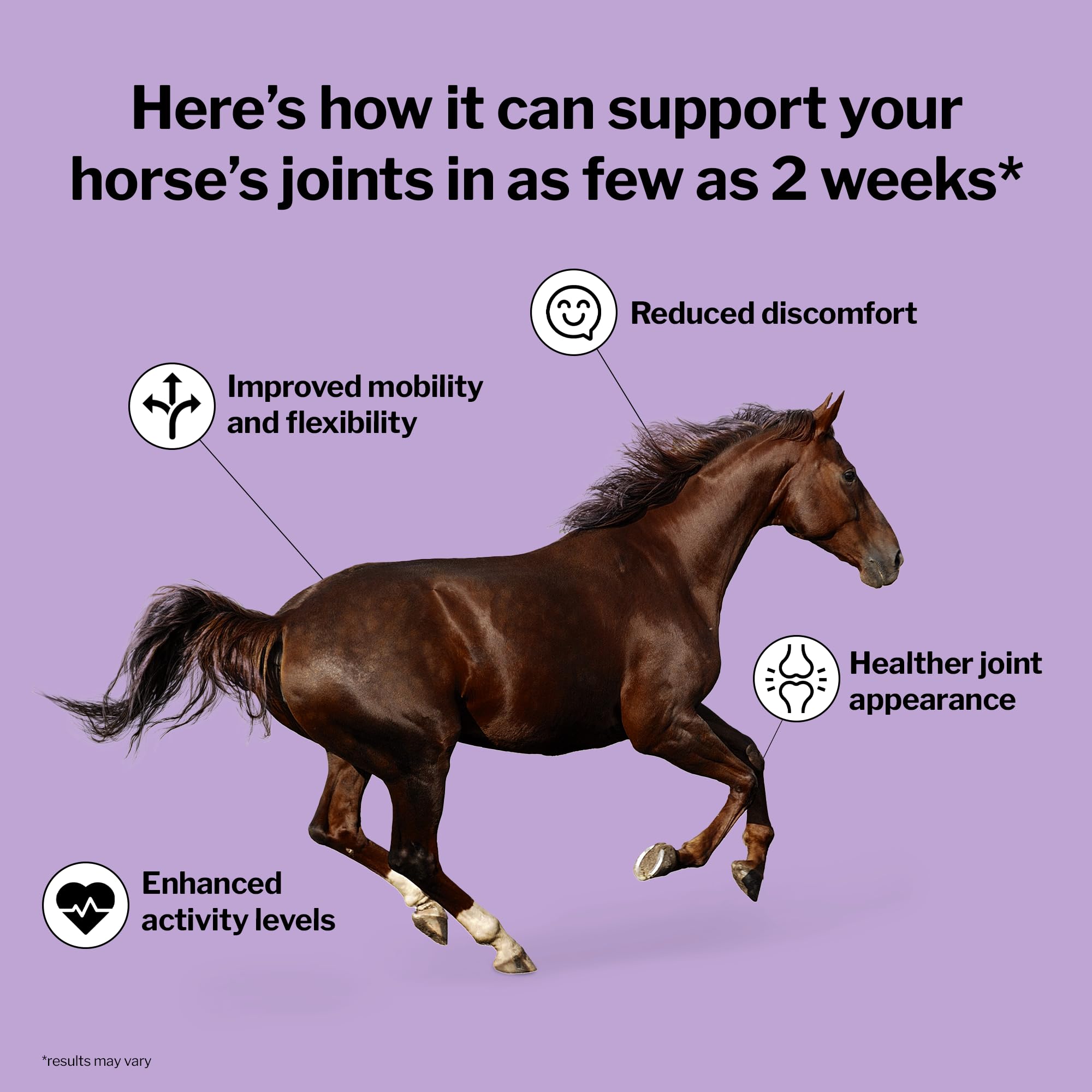Formula 707 Joint 6in1 bag shows alfalfa-wheat-middlings-based pellets ideal for daily use