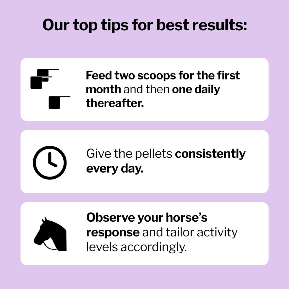 Horse profile suggesting daily care with Formula 707 joint support
