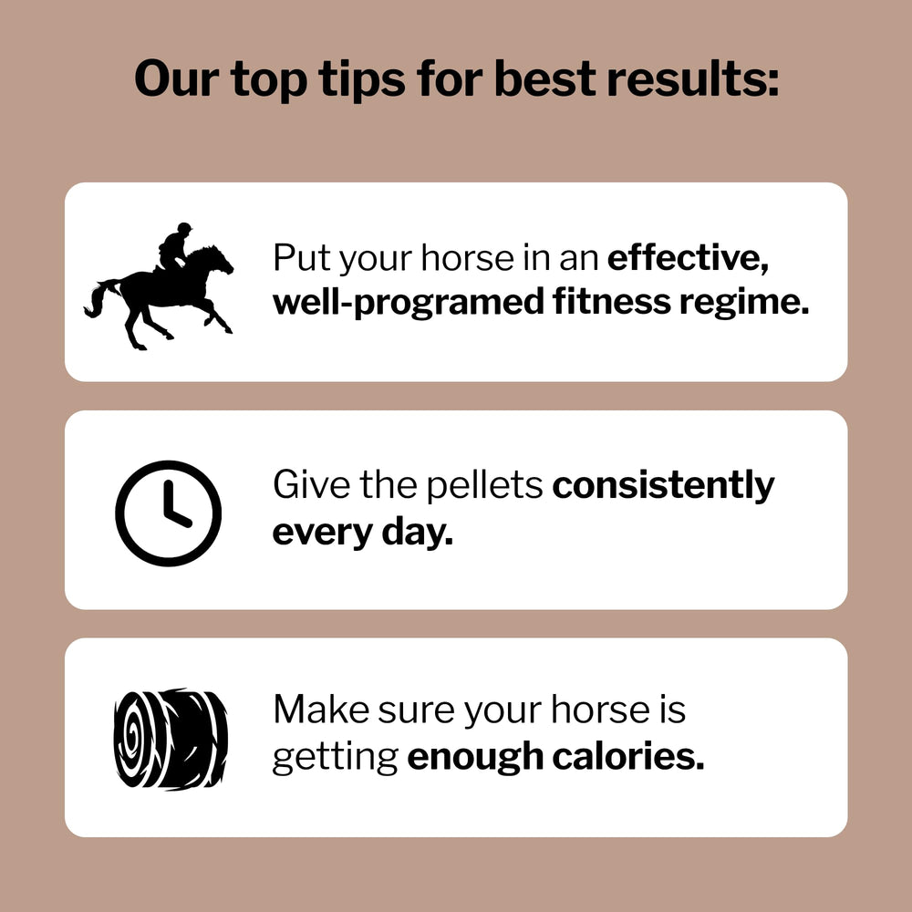 Formula 707 MuscleMx on a trotting horse feeding station illustrates daily supplementation