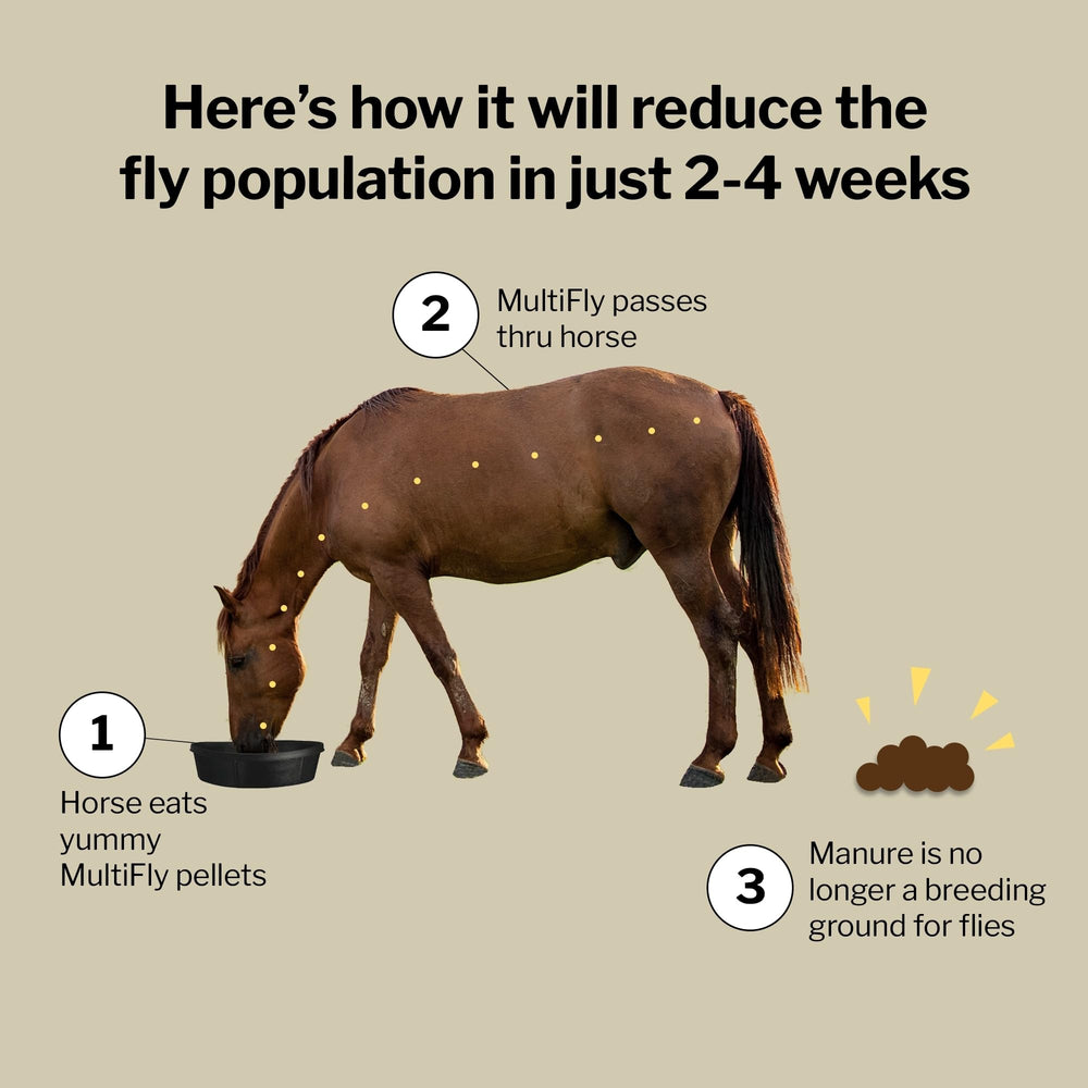 Novaluron-powered Formula 707 pellets in feed tray for safe fly control.
