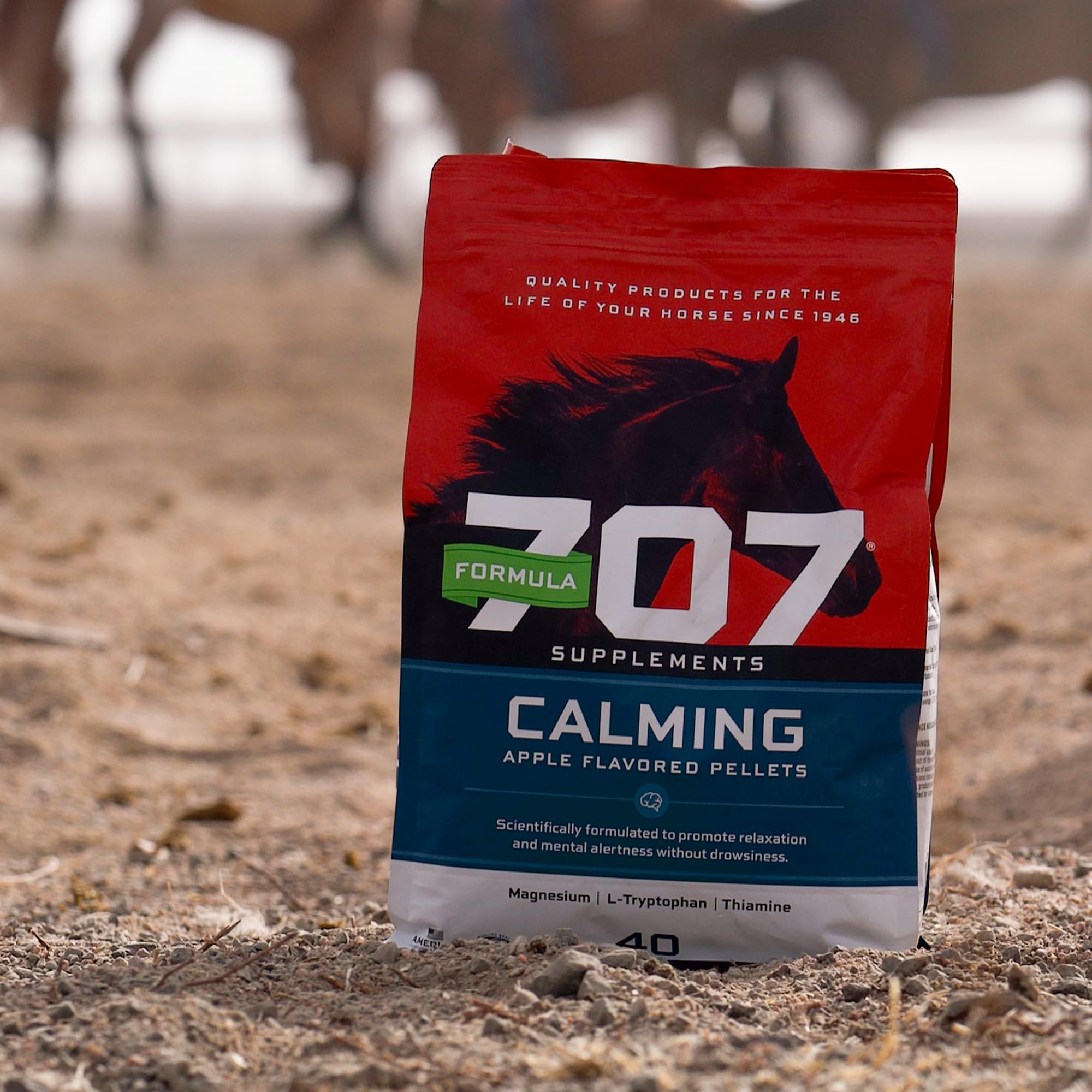 Horse during training appears focused after Formula 707 supplementation.
