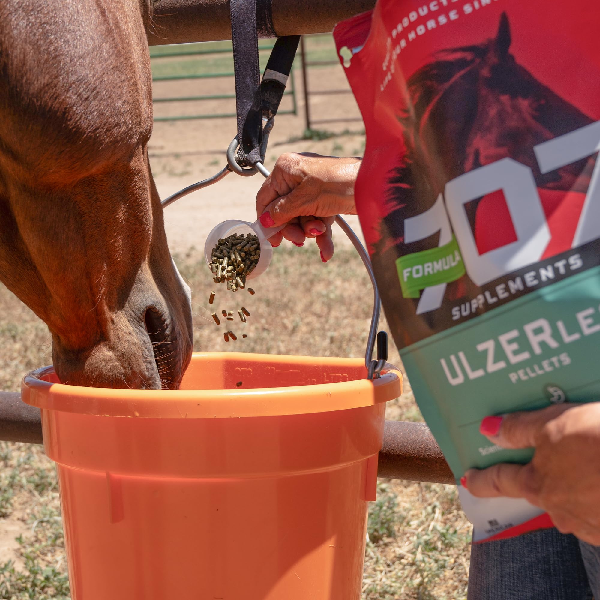 Formula 707 ULZERless grape seed extract graphic