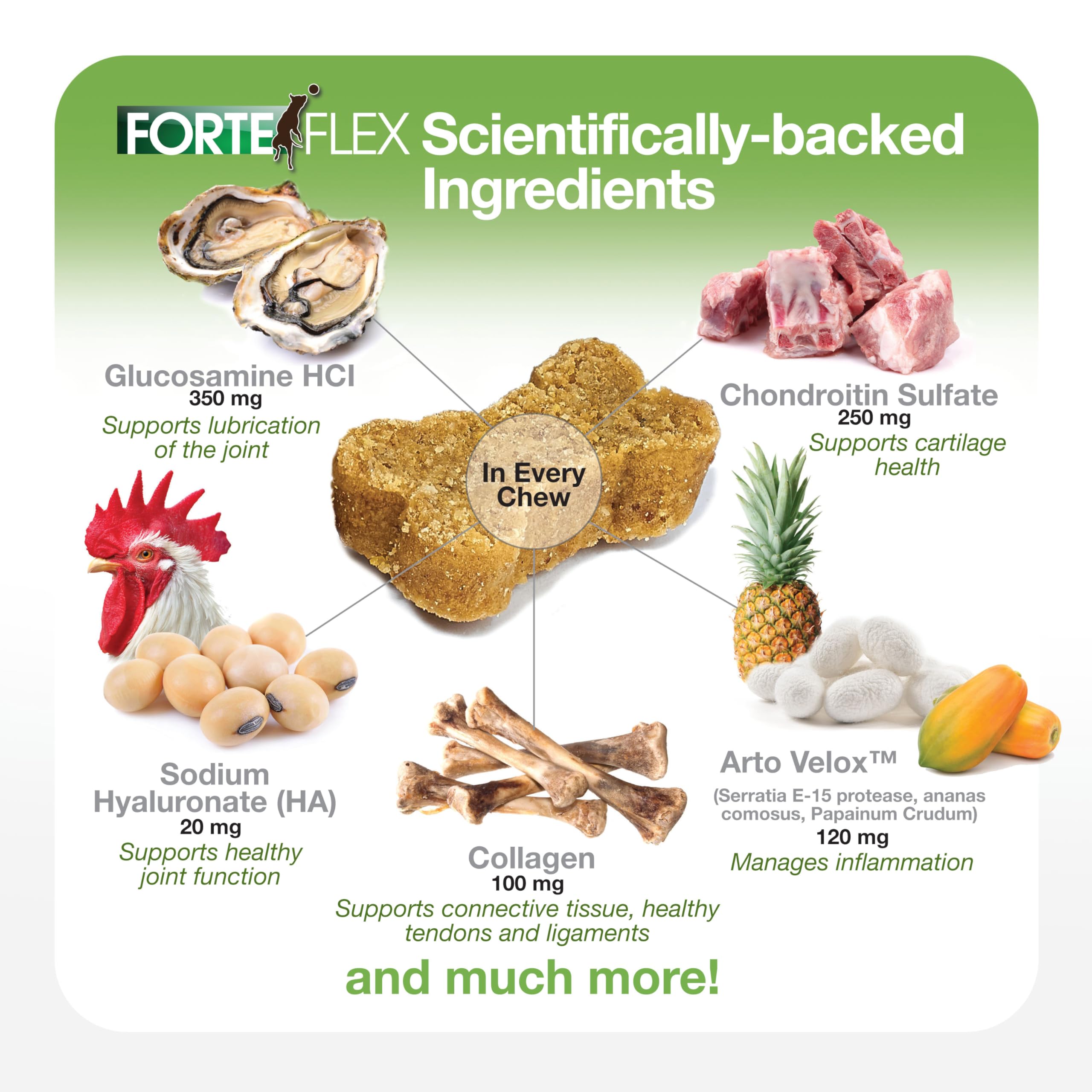 Forte Flex capsules with glucosamine, chondroitin, and HA cushion joints.
