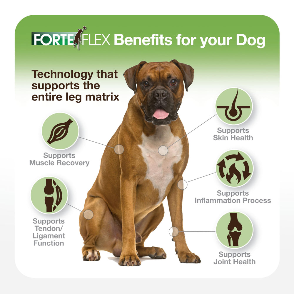Forte Flex packaging highlighting soft tissue support for ligaments and tendons.