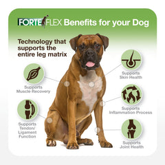 Forte Flex packaging highlighting soft tissue support for ligaments and tendons.