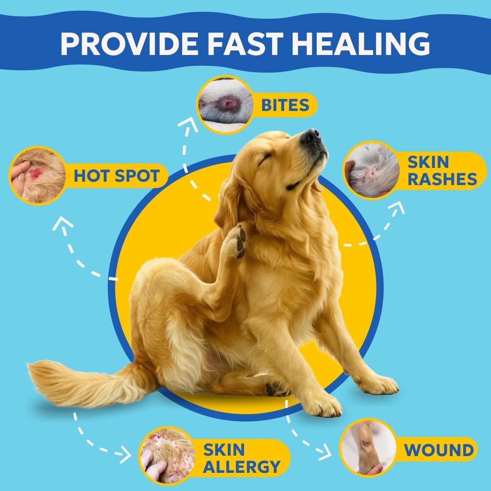 Forticept Blue Butter Gel applied to a dog wound