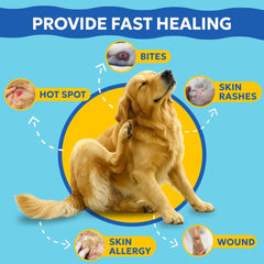 Forticept Blue Butter Gel applied to a dog wound
