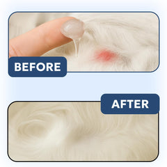 Illustration of Forticept Clear Butter biofilm technology aiding healing