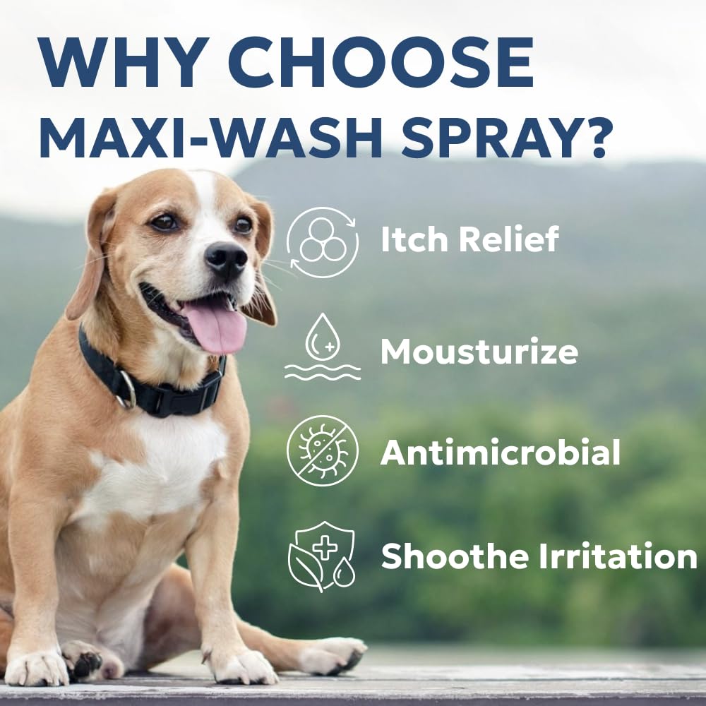 Forticept Maxi-Wash paw-care application on a paw for quick relief